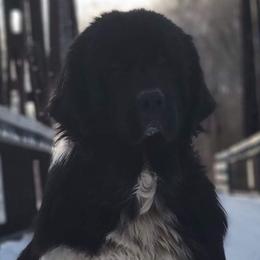Grace - Newfoundland