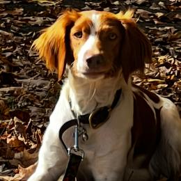 Zina - Brittany