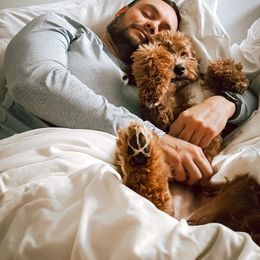 Bernedoodle and Goldendoodle Puppies from Hello Doodle Ranch