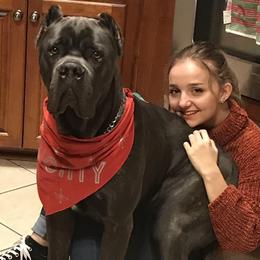 Cane Corso Puppies from Far From Average Kennels