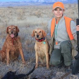 Golden Retrievers from Ponderay Golden’s