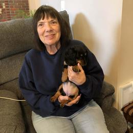 Dachshund Puppies from Birkin’ Paws