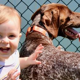 German Shorthaired Pointers from Lazy K GSP's