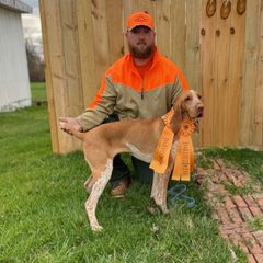Fendi - Bracco Italiano