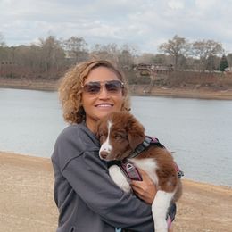 Australian Shepherd Puppies from Augusta Aussies