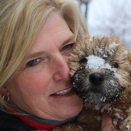 Australian Shepherd and Soft Coated Wheaten Terrier Puppies from Ironwood Ridge Kennels
