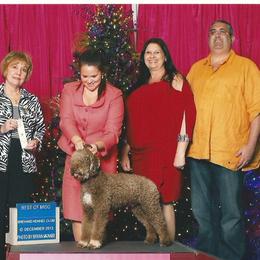 Lagotti Romagnoli from House Woller Lagotto