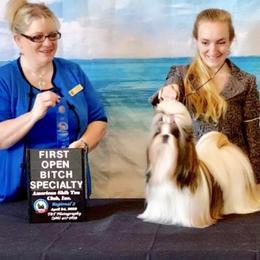 Maliki - Shih Tzu