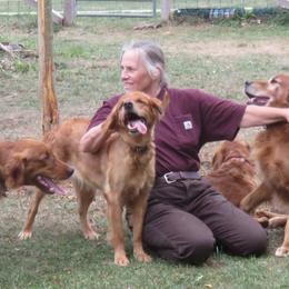 Golden Retrievers from Thornfield Farm Goldens