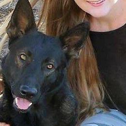 German Shepherds from Rylee Ryckman's German Shepherds