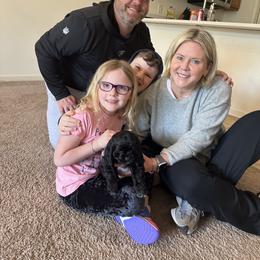 Cocker Spaniel Puppies from Huntcrest Cockers