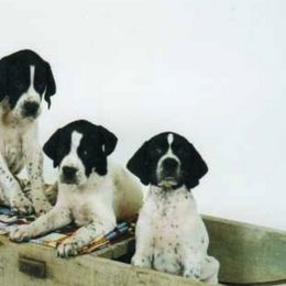 Pointer Puppies from Blackthorne Pointers