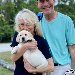 Labrador Retriever Puppies from Flashylabs  AKC GR CHAMPION SIRED