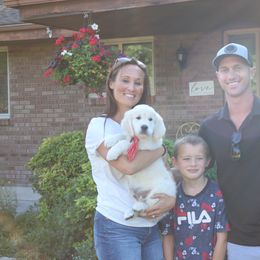 Golden Retriever Puppies from Dry Canyon Goldens