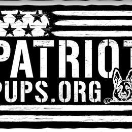 German Shepherd Puppies from PatriotPups.org