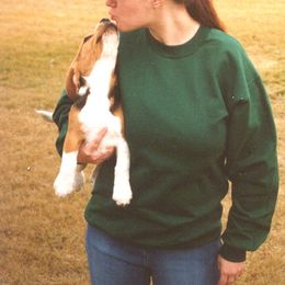 Beagle Puppies from Roylcrest Beagles