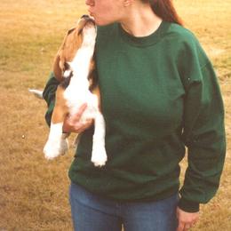 Beagle Puppies from Roylcrest Beagles