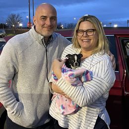 Boston Terrier Puppies from Bonze Boston Terriers