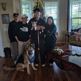 Sion - Sable male Pembroke Welsh Corgi puppy in Red Bluff, California from Ruby's Corgi's