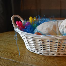 Golden Retriever Puppies from Lightning Oak Acres