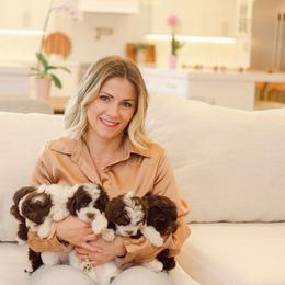 Bernedoodle, Cavapoo, Havanese, and Havapoo Puppies from Lady Paws Puppies - Cassie