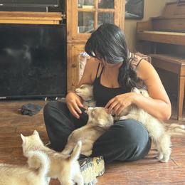 Light Blue Collar - Red and white male Siberian Husky puppy in Squaw Valley, California from Bear Mountain