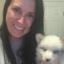 American Corgi, Miniature Australian Shepherd, and Pembroke Welsh Corgi Puppies from Rafter C Aussies & Corgis