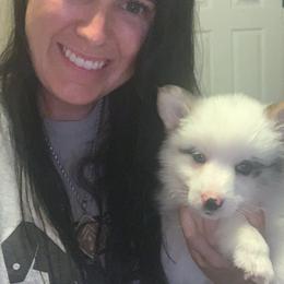 American Corgi, Miniature Australian Shepherd, and Pembroke Welsh Corgi Puppies from Rafter C Aussies & Corgis
