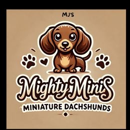 Dachshunds from Mighty Minis