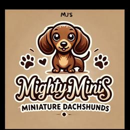 Dachshunds from Mighty Minis
