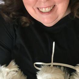 Maltese Puppies from California Marvalous Maltese