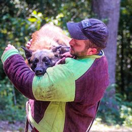 Belgian Malinois from Malinois v Cloven Hoof