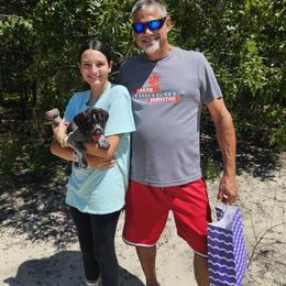 German Wirehaired Pointer Puppies from Vom Fleetwood