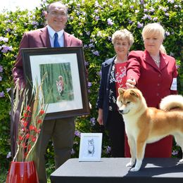 Shiba Inu from Ranchlake Shiba Inu