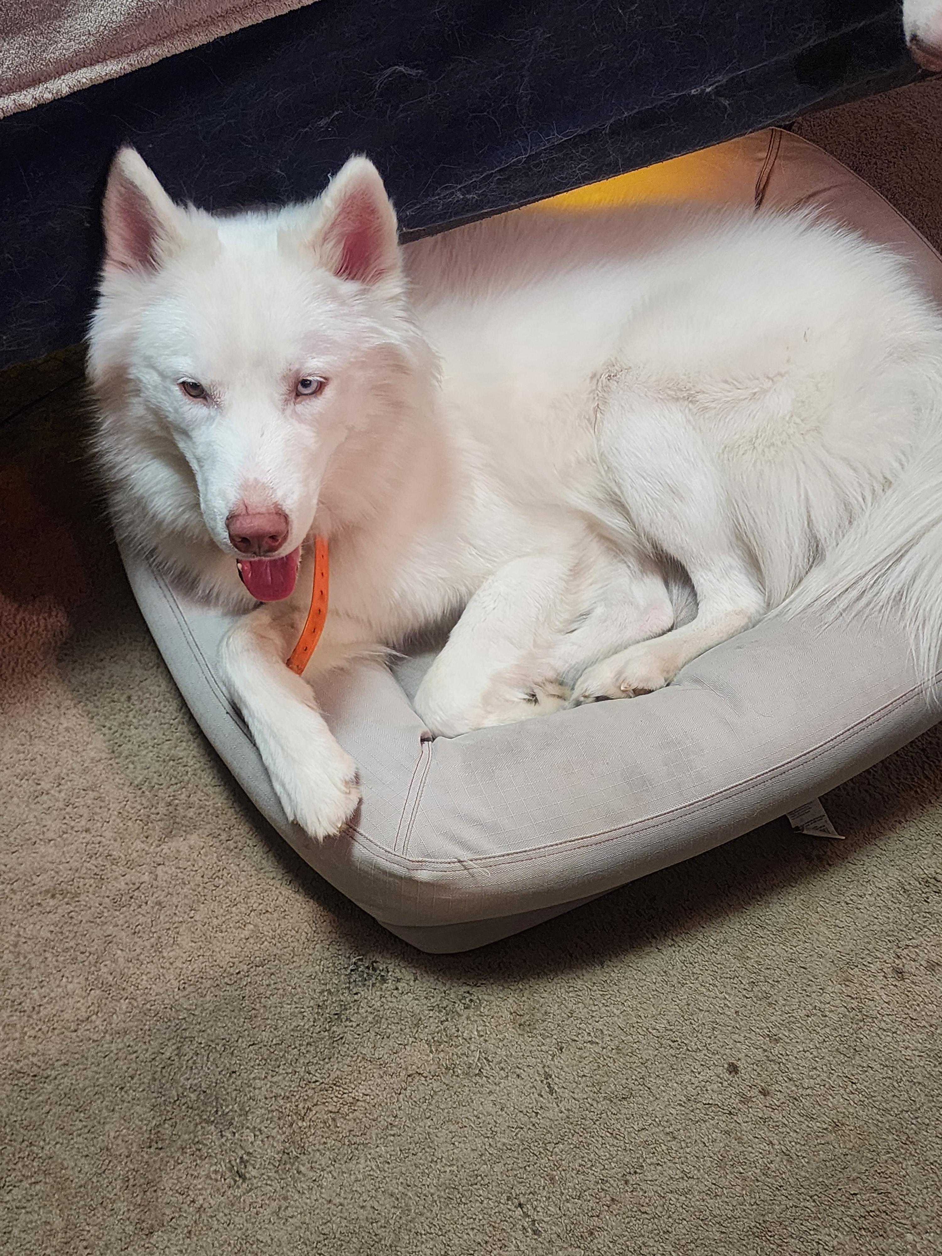 Casper