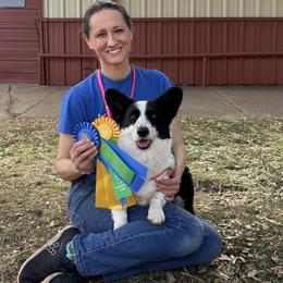 Sissy - Cardigan Welsh Corgi