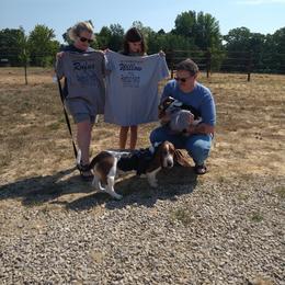 Basset Hound Puppies from Redbud Ranch Basset Hounds