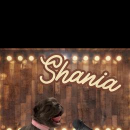 French Bulldog Puppies from Family Farm Frenchies