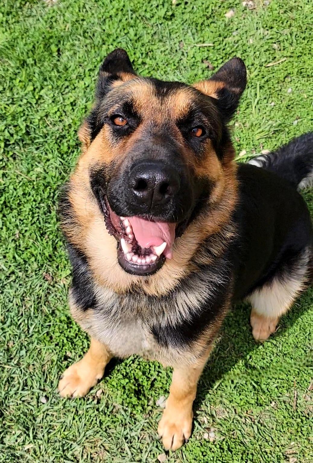 Ellie