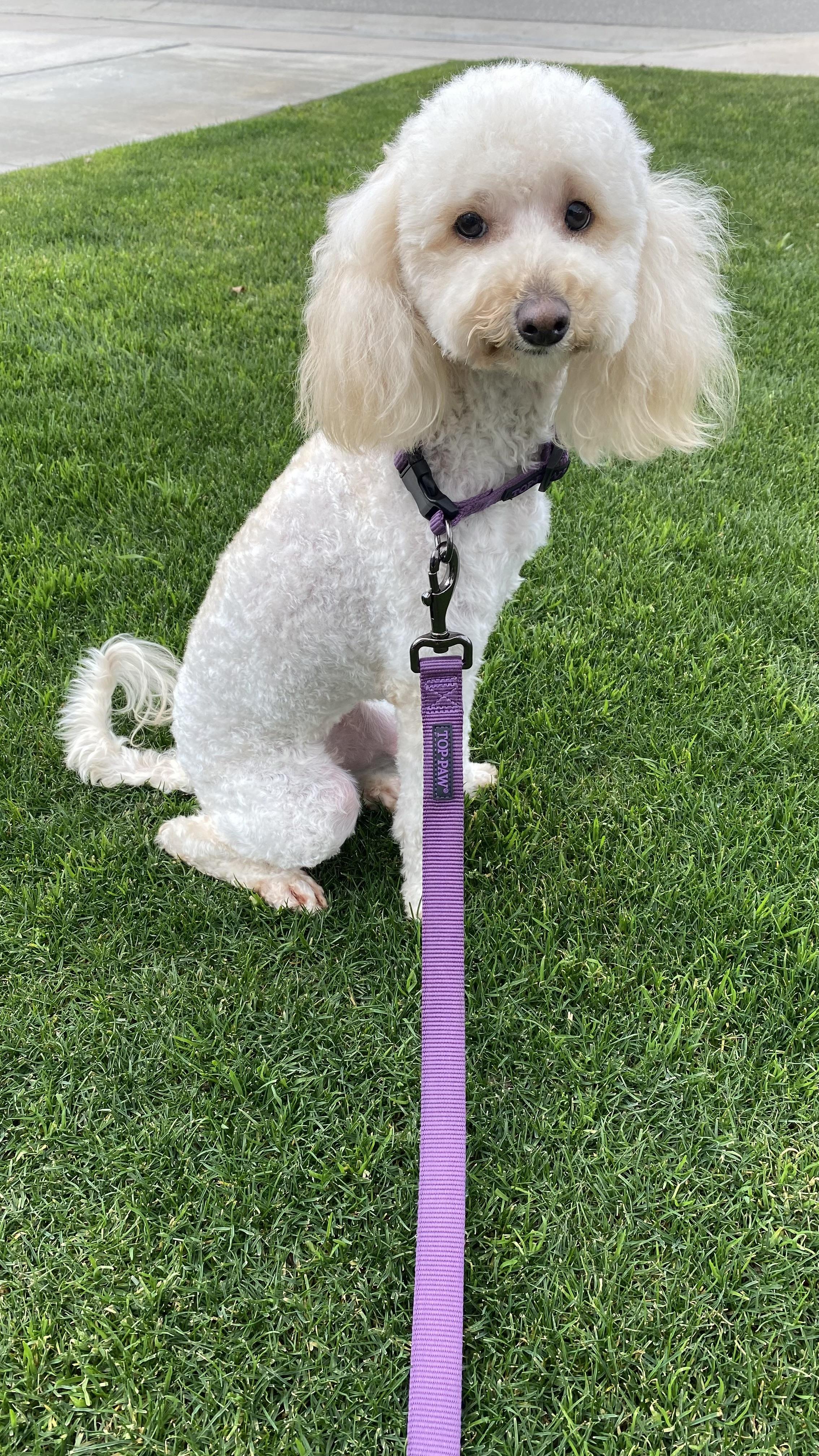 Delilah