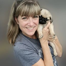 Pug Puppies from Pugs513