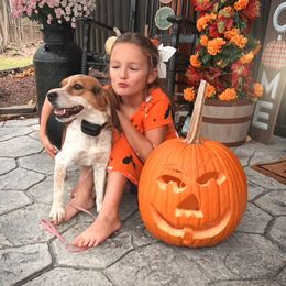 Brida - Beagle