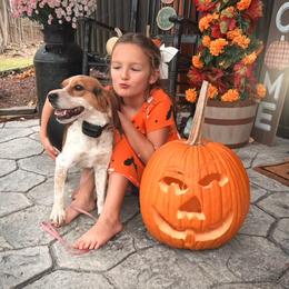 Brida - Beagle