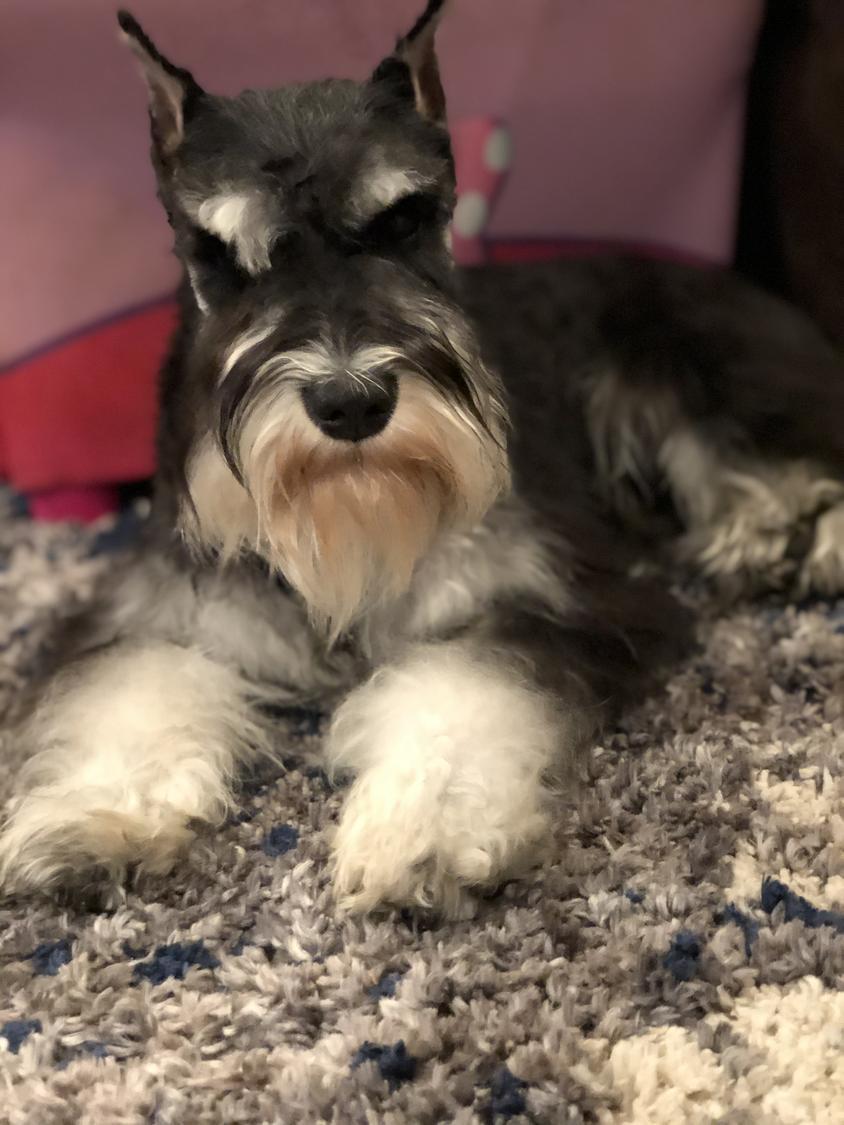 Cosmo