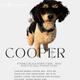 Cooper