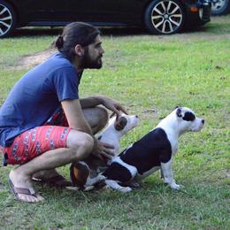 American Bully Puppies from SouthernCharm Kennel (SCP)