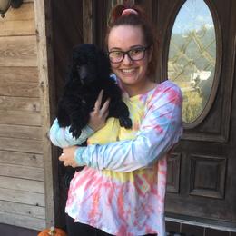 Poodle Puppies from Ocala Standard Poodles