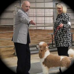 Kit-Sue's Legend Lives On - Poodle