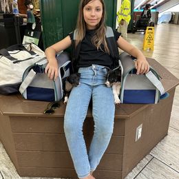 Rat Terrier Puppies from Haiku Rat Terriers