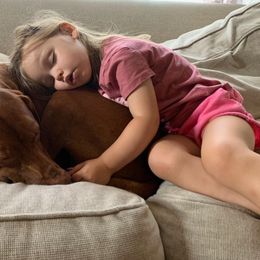Vizsla Puppies from High Trail Connection